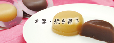 岡山県産果実フルーツ羊羹 (80g)＆フルーツケーキ